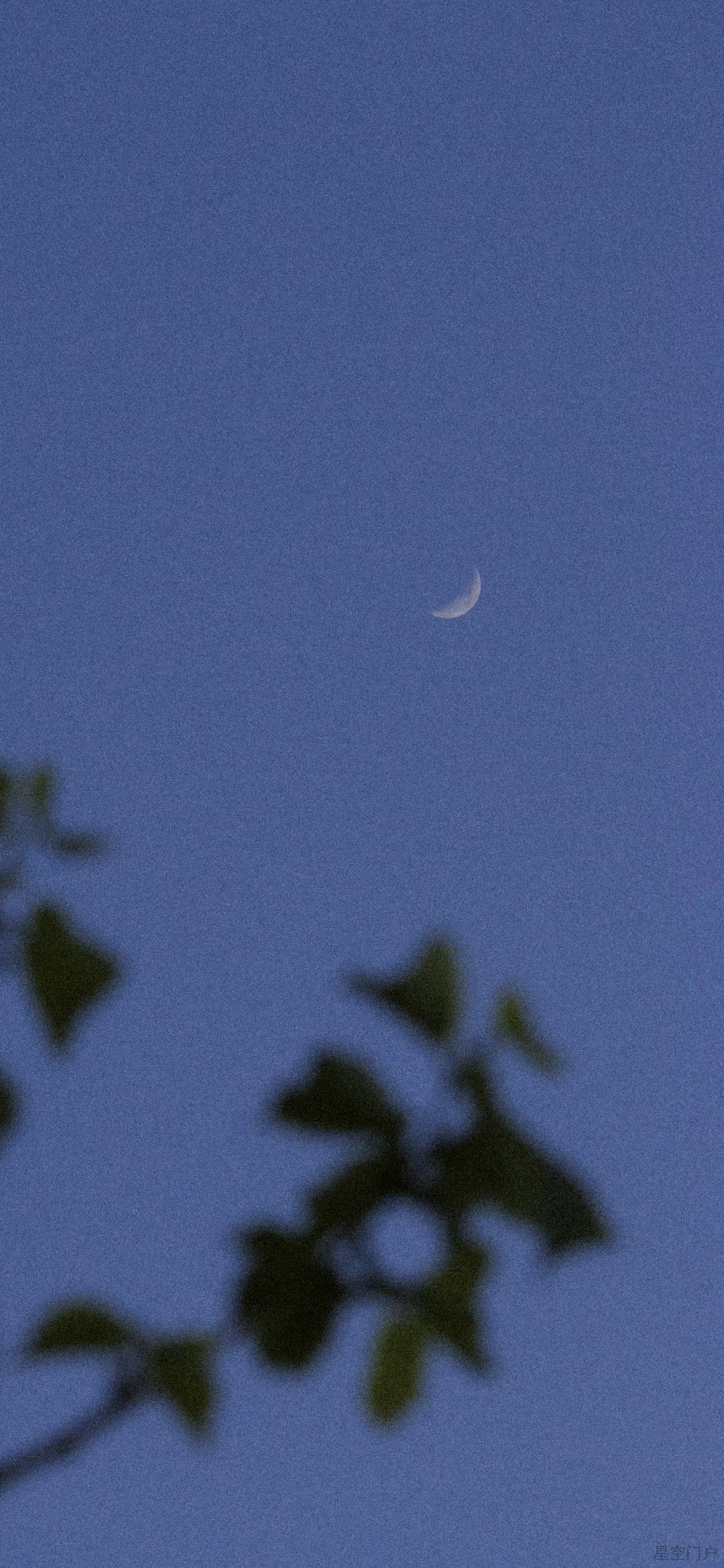 图片[65]-人间的面 见一面少一面-星空门户