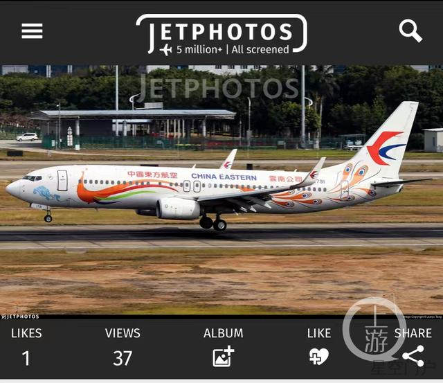 图片[1]-东航停飞全部737-800客机官网变黑白色-星空门户