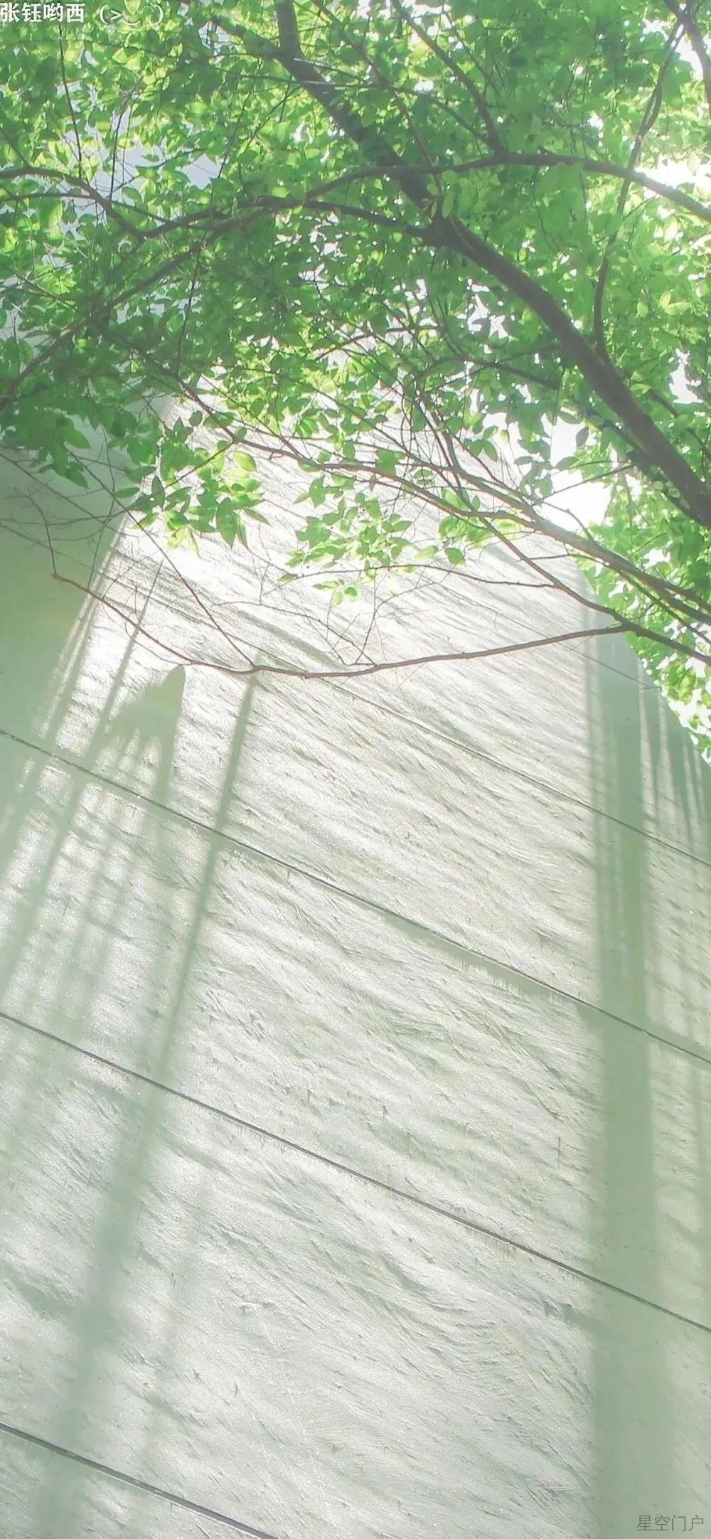 图片[24]-人间的面 见一面少一面-星空门户