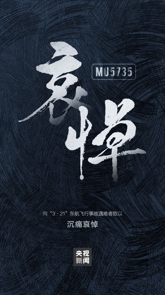 图片[1]-“3·21”东航MU5735航班机上132人全部遇难-星空门户