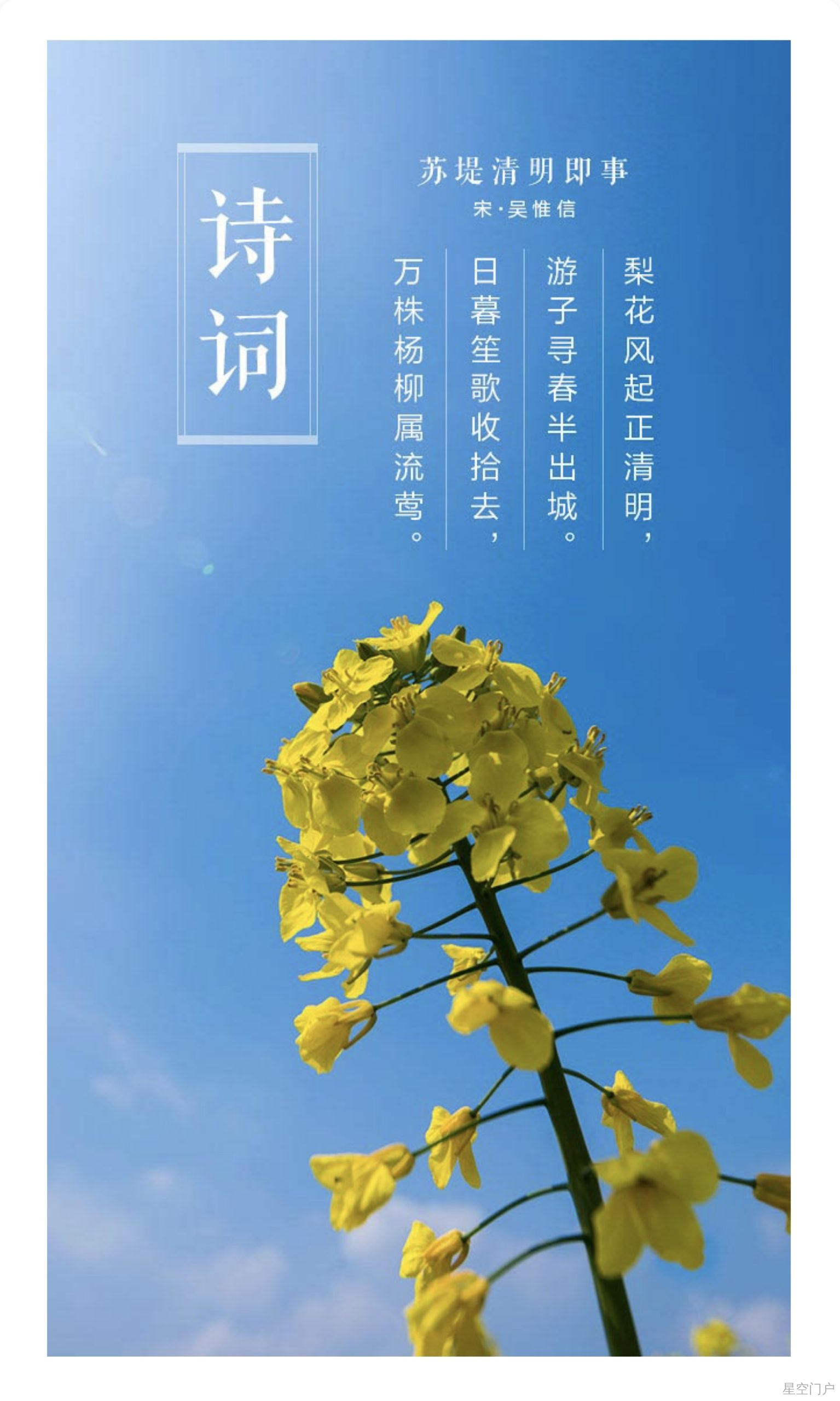 图片[7]-今日清明，今又清明-星空门户