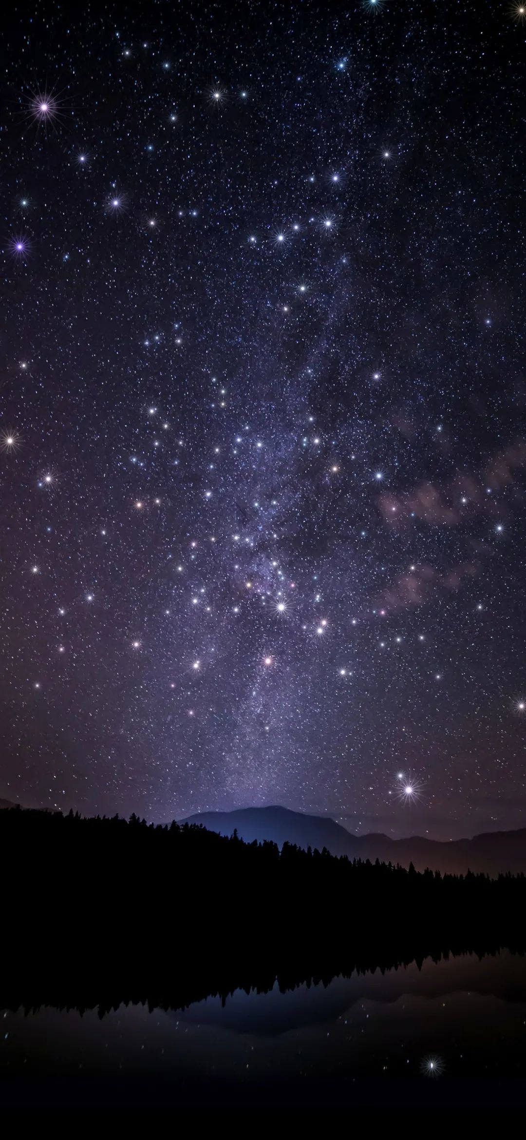 图片[5]-喜欢是天性，与生俱来的本能-星空门户