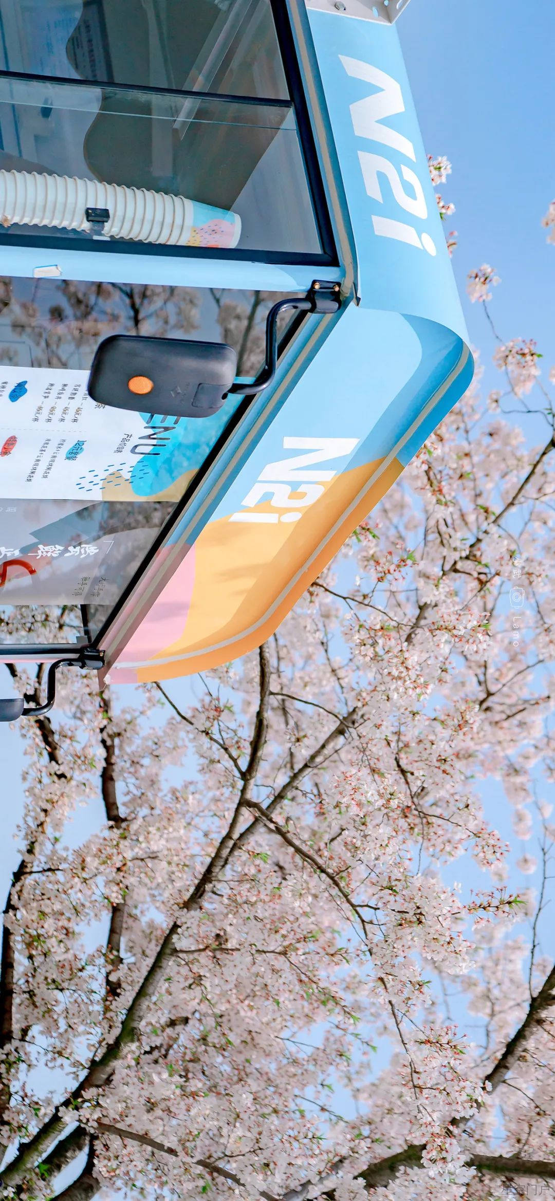 图片[36]-喜欢是天性，与生俱来的本能-星空门户