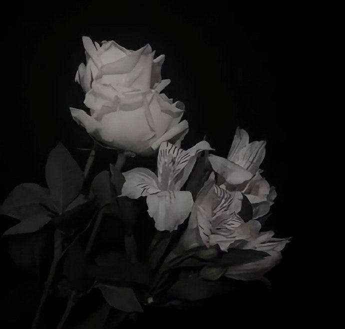 null3d09240337d9de77.jpg