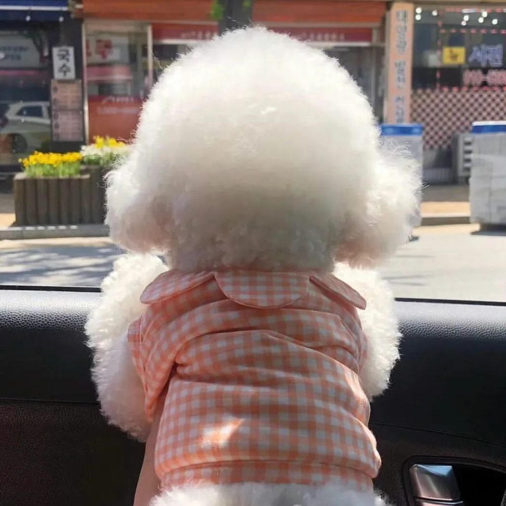 图片[41]-一些怼人超级妙的阴阳怪气文案-星空门户