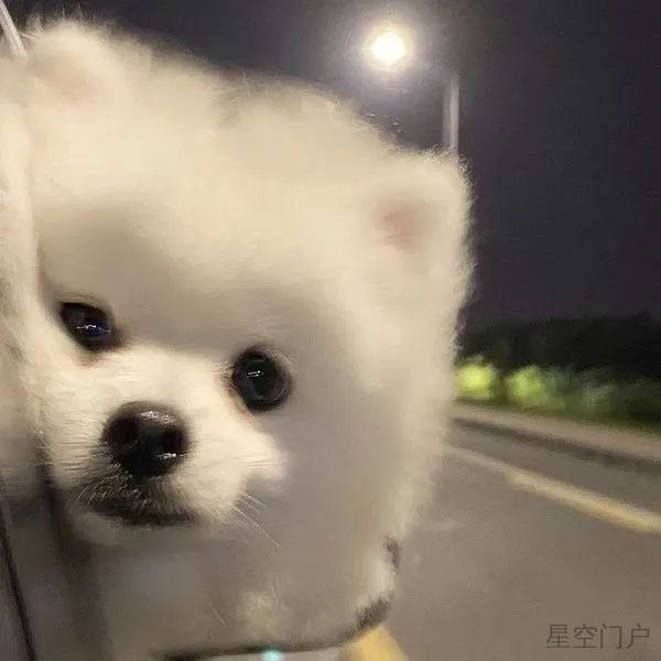 图片[42]-一些怼人超级妙的阴阳怪气文案-星空门户