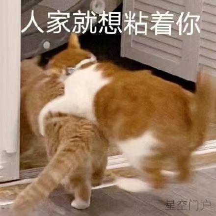 1EE719E5-438F-4E6B-A968-A2D6CD47BD89.jpeg