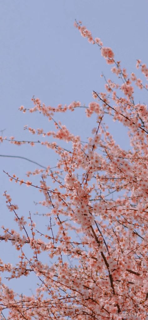 图片[20]-真实爱情的途径并不平坦-星空门户