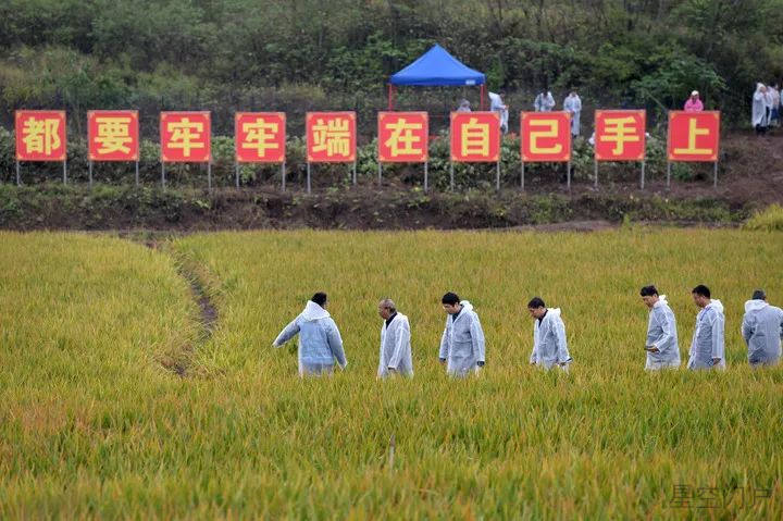 图片[2]-今天，我们想您了！-星空门户