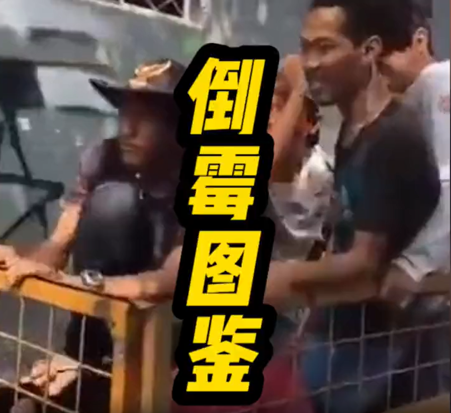 倒霉图鉴专治不开心 看一遍笑一遍-星空门户