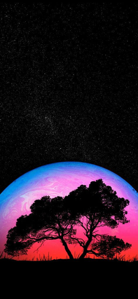 图片[11]-我还在原地等你，你却已经忘记曾来过这里-星空门户
