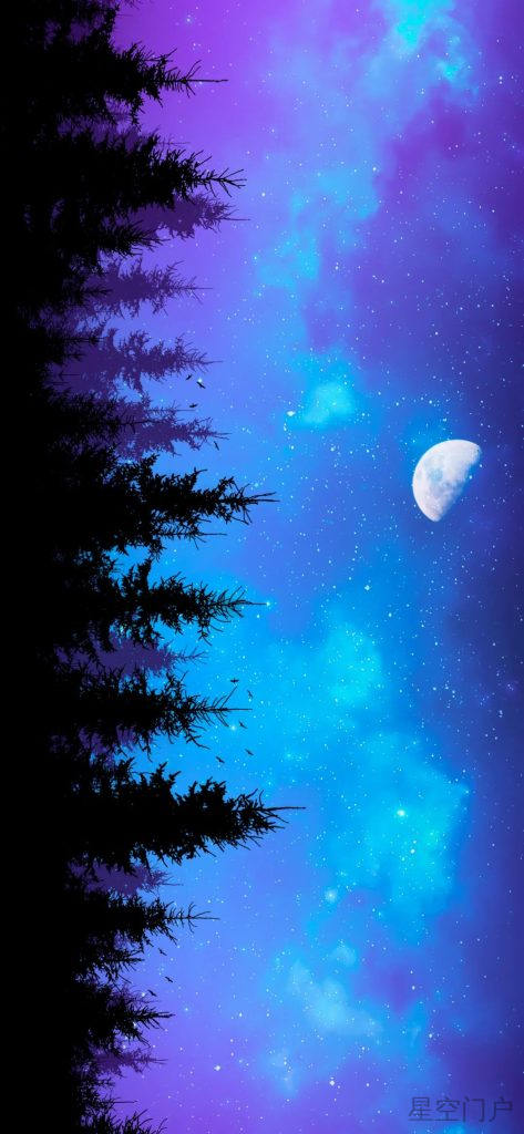 图片[10]-我还在原地等你，你却已经忘记曾来过这里-星空门户