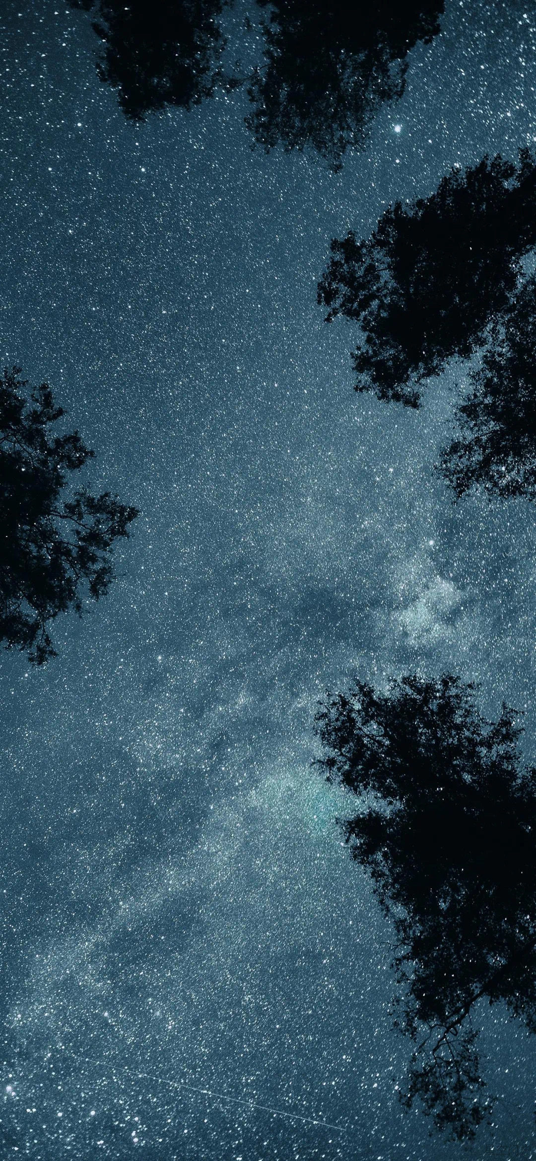 图片[20]-壁纸丨在这善变的世界，我想和你看一看永远。-星空门户