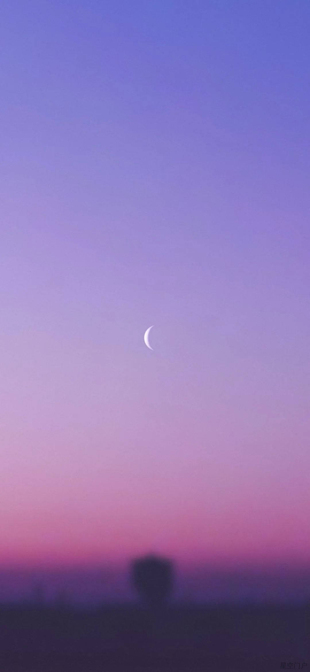 图片[57]-壁纸丨在这善变的世界，我想和你看一看永远。-星空门户