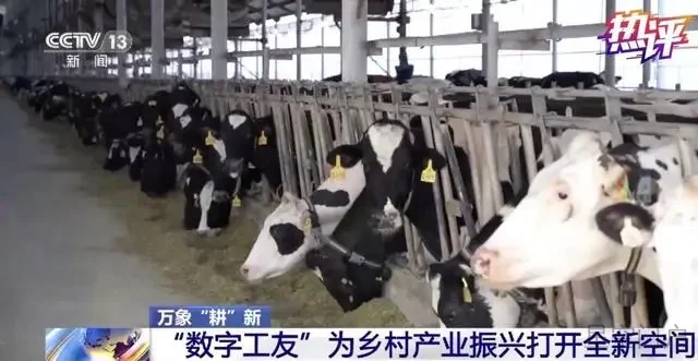 图片[2]-热评丨抢抓农时 科技助春耕-星空门户
