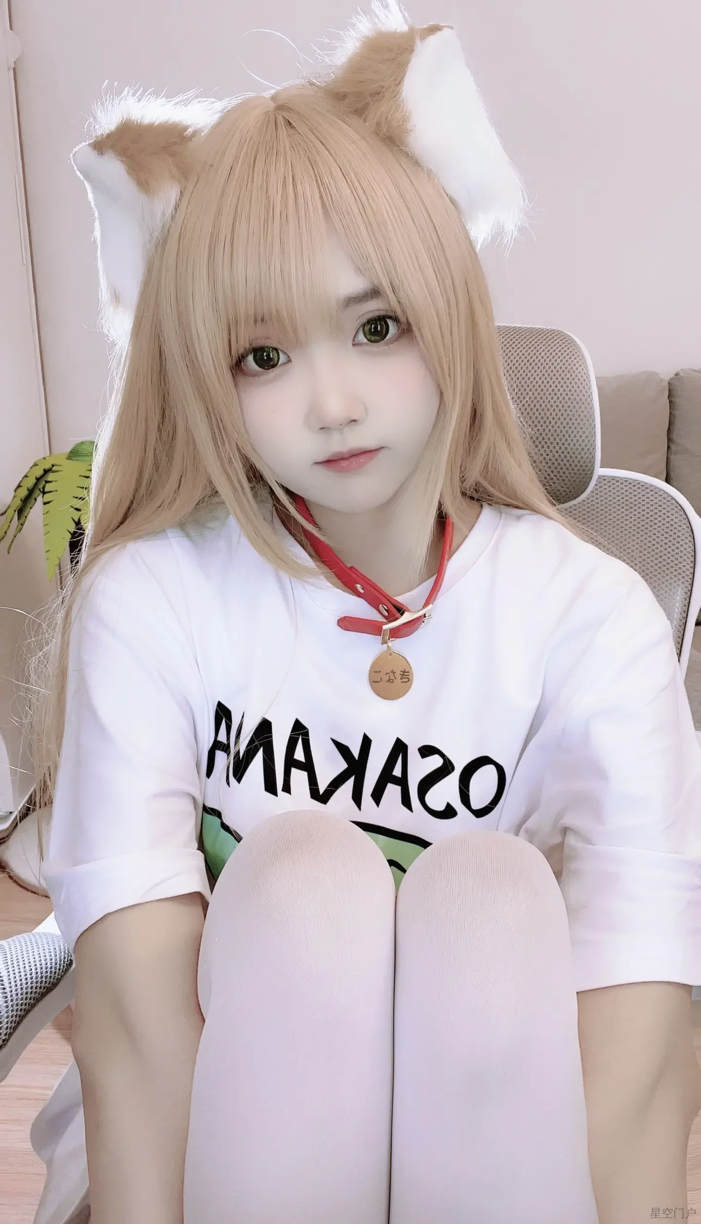 63c51ede58120744