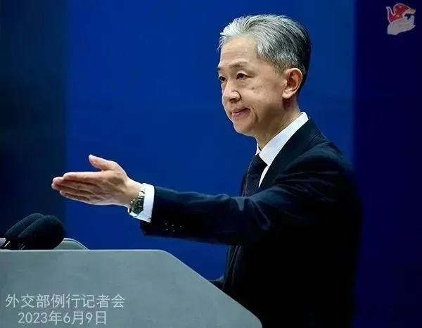 图片[5]-外交部新闻（2023年6月10日）-星空门户