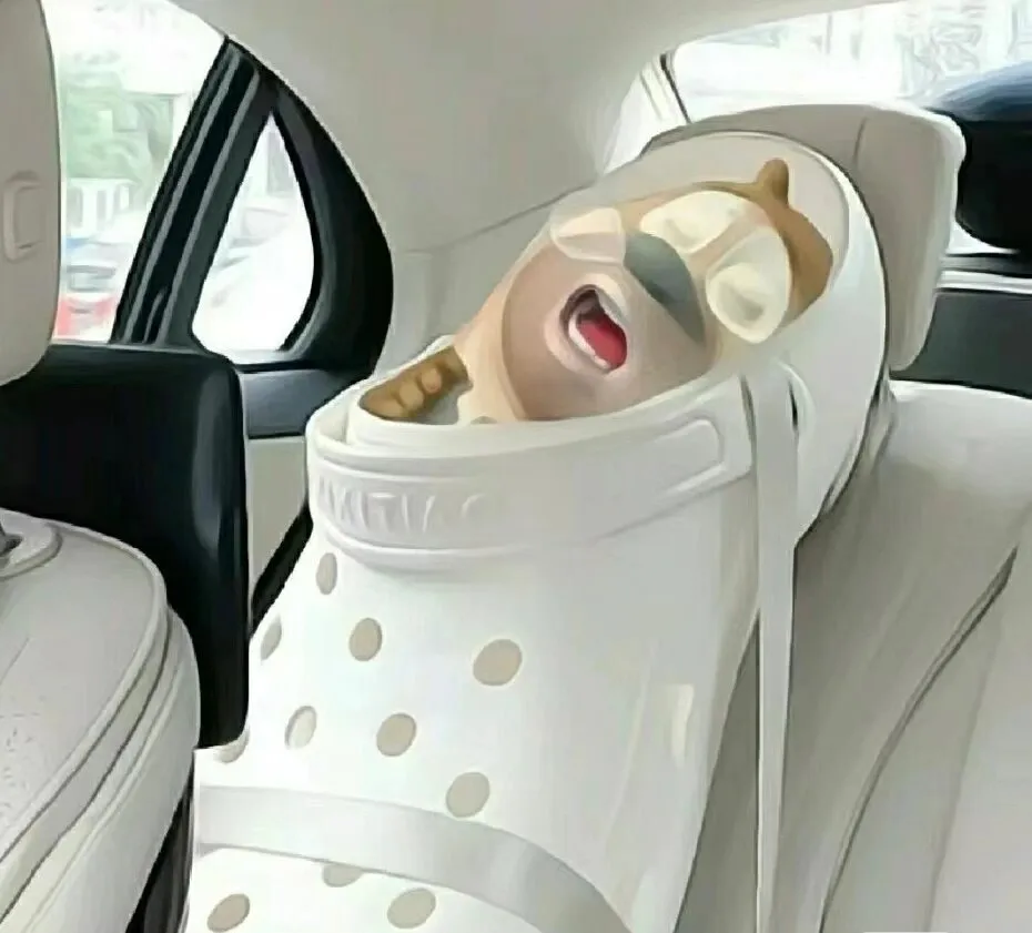“合理但有点大病的沙雕文案”-星空门户