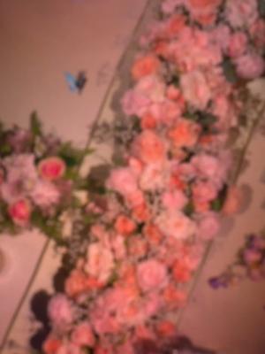 莫文蔚与毛不易搭档带来《岁月里的花》-星空门户